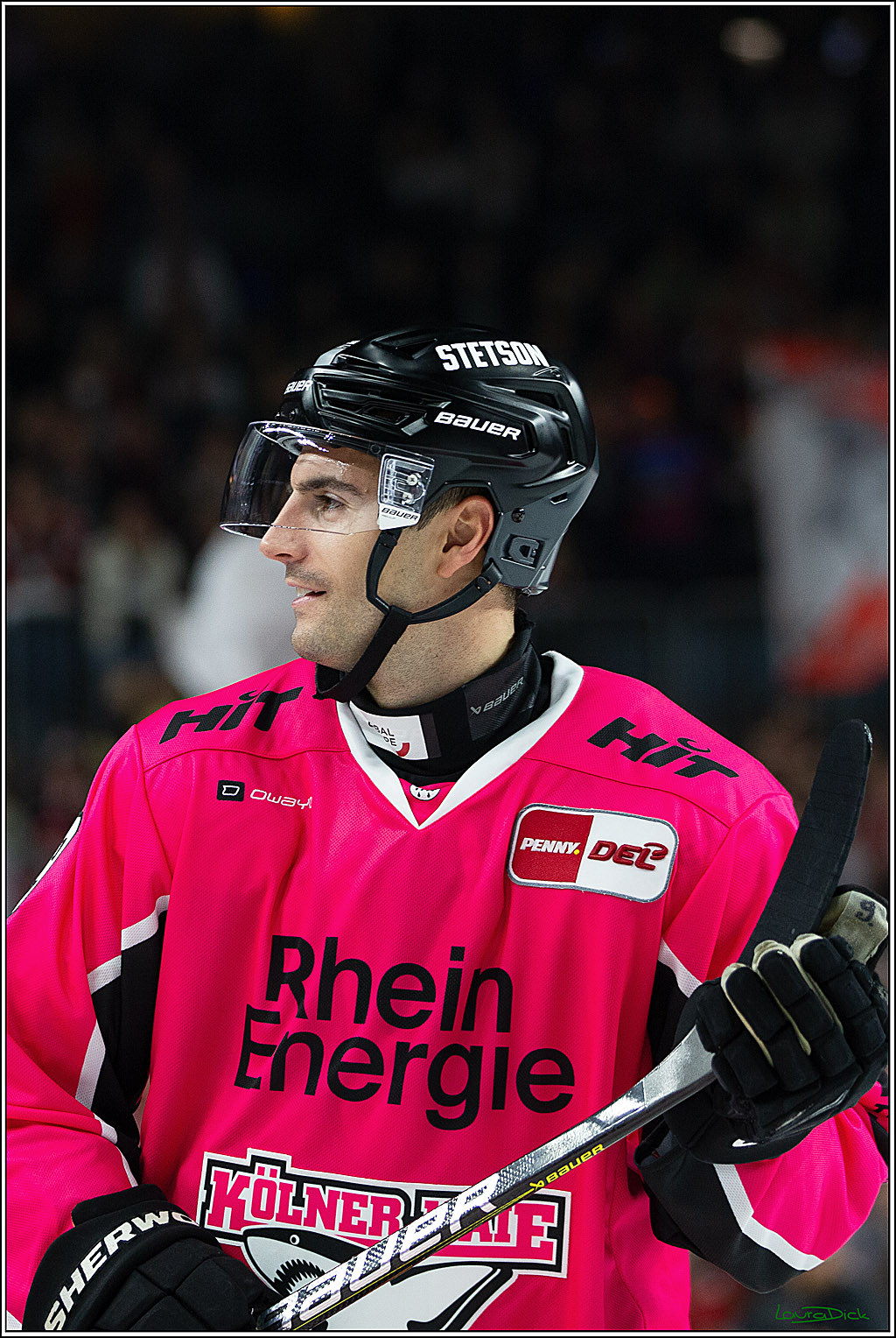 PENNY DEL; Koelner Haie- Staubing Tigers; Koeln, 03.10.2024