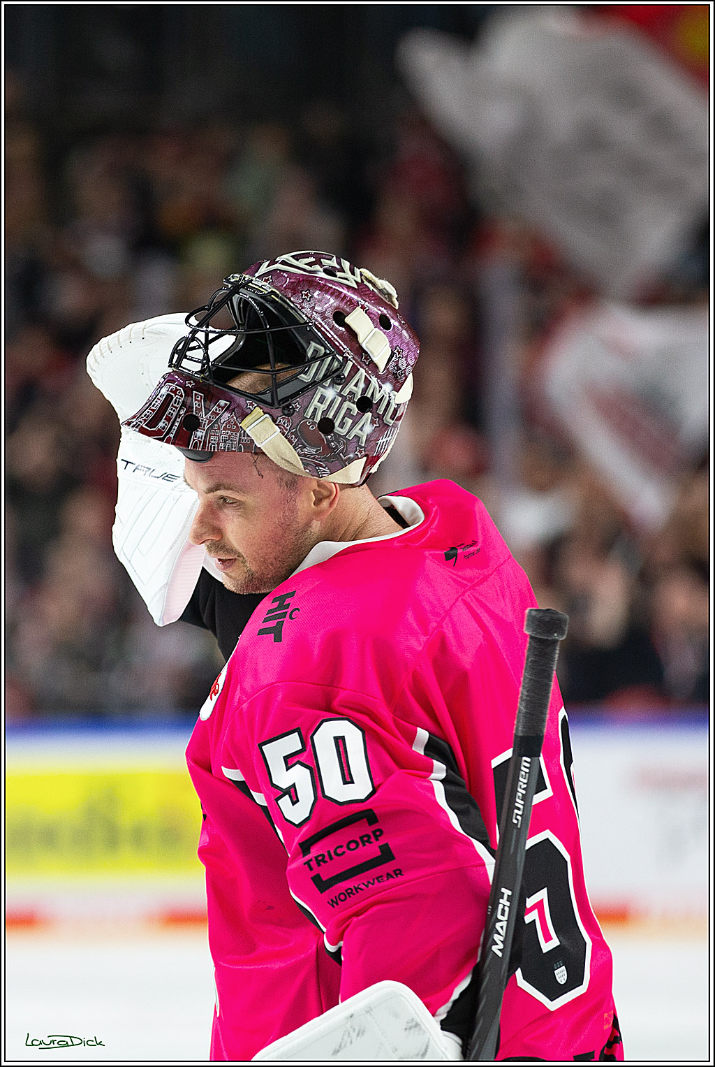 PENNY DEL; Koelner Haie- Staubing Tigers; Koeln, 03.10.2024