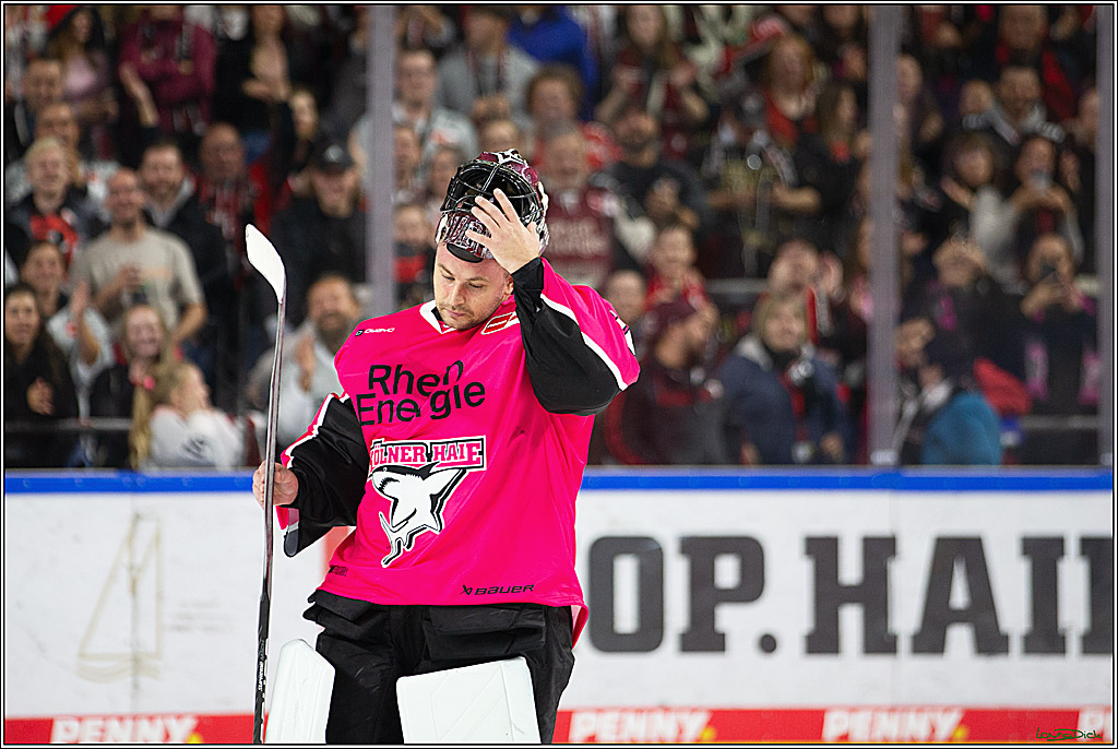 PENNY DEL; Koelner Haie- Staubing Tigers; Koeln, 03.10.2024