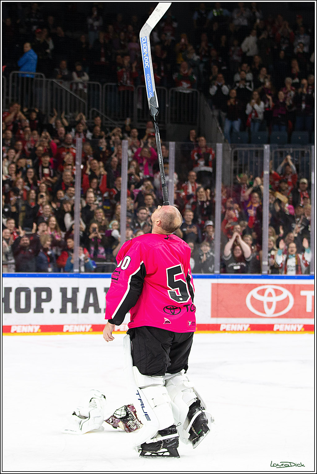 PENNY DEL; Koelner Haie- Staubing Tigers; Koeln, 03.10.2024