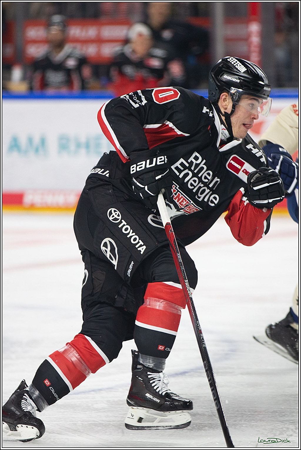 PENNY DEL; Koelner Haie- Schwenninger Wild Wings; Koeln, 11.10.2024