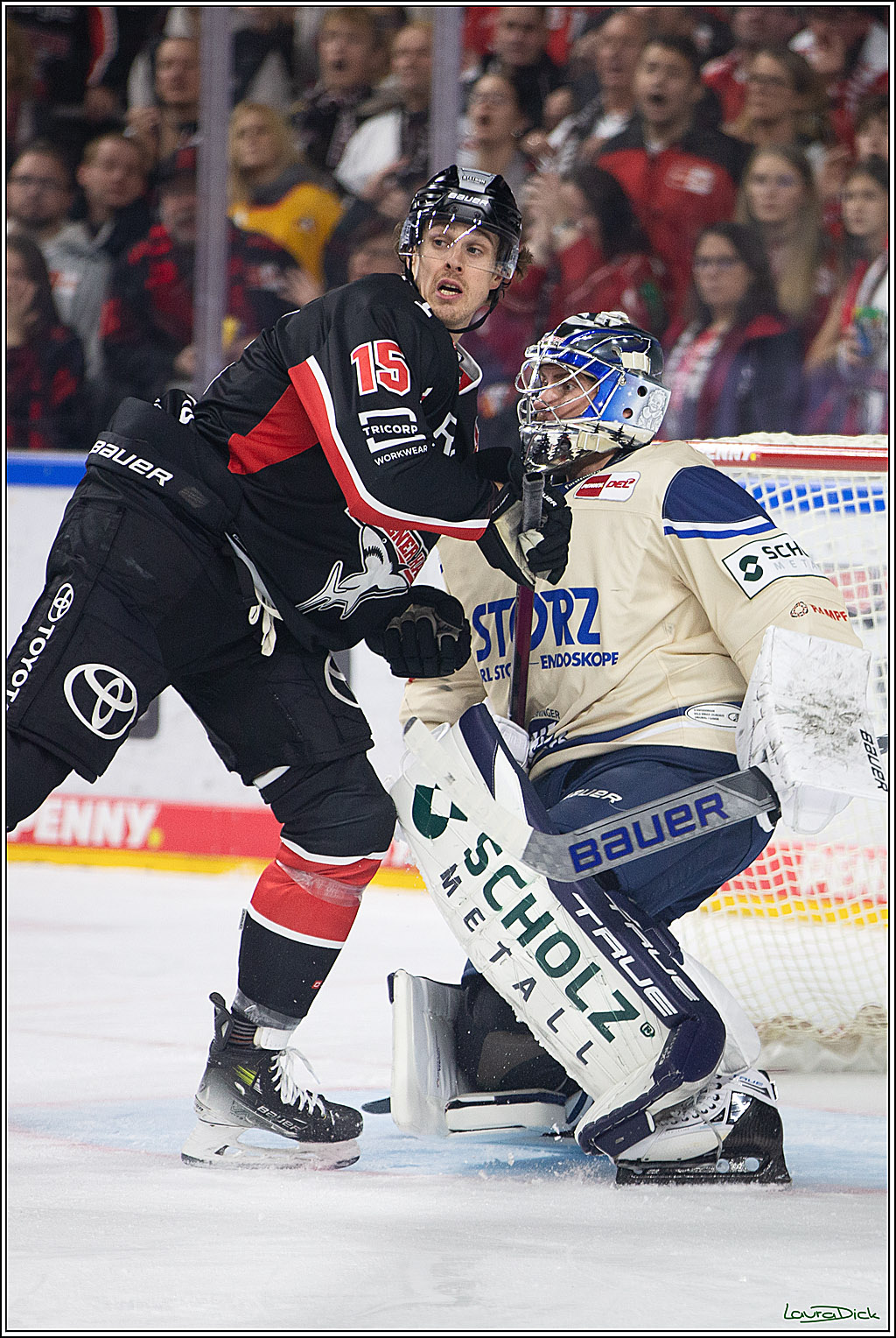 PENNY DEL; Koelner Haie- Schwenninger Wild Wings; Koeln, 11.10.2024