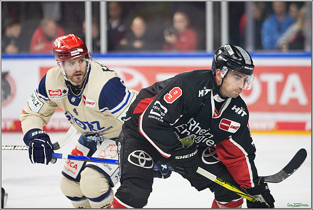 PENNY DEL; Koelner Haie- Schwenninger Wild Wings; Koeln, 11.10.2024