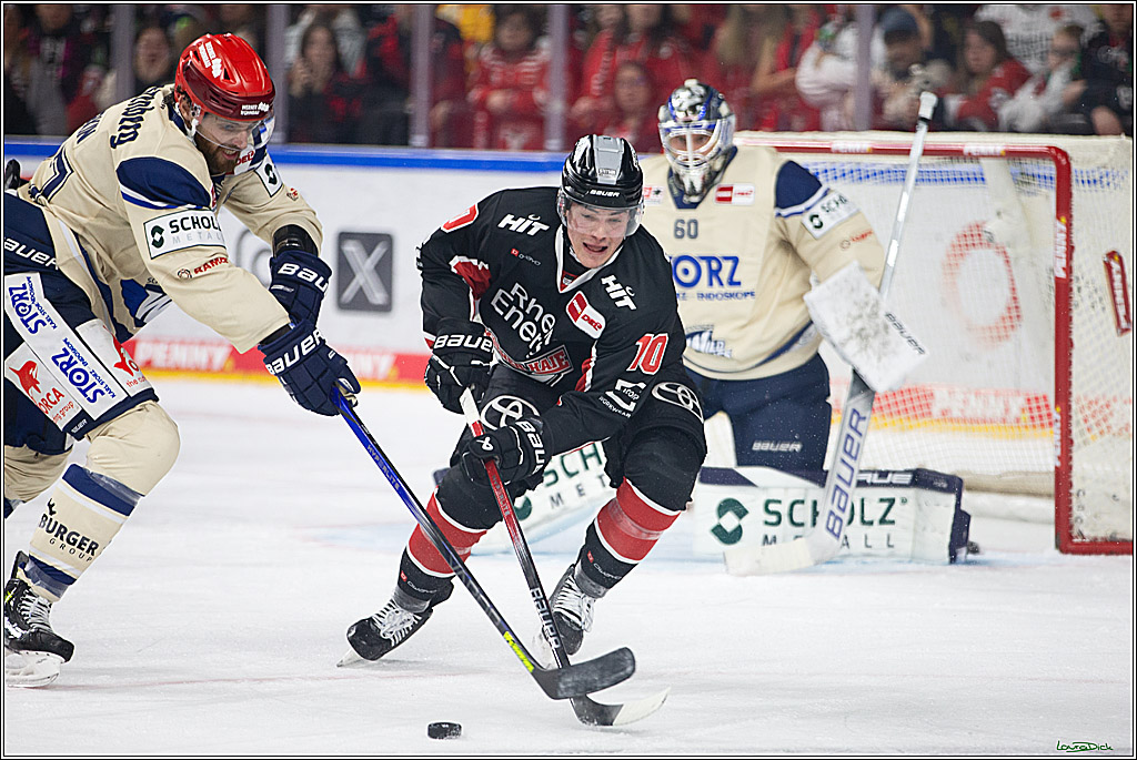 PENNY DEL; Koelner Haie- Schwenninger Wild Wings; Koeln, 11.10.2024