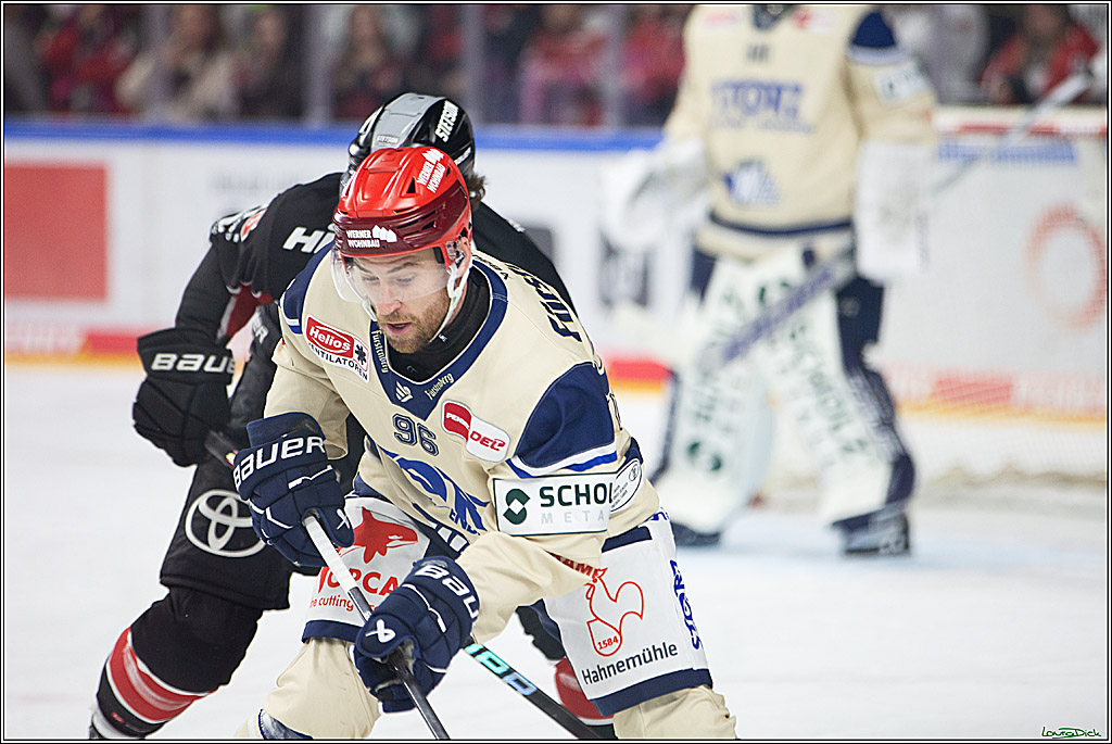 PENNY DEL; Koelner Haie- Schwenninger Wild Wings; Koeln, 11.10.2024