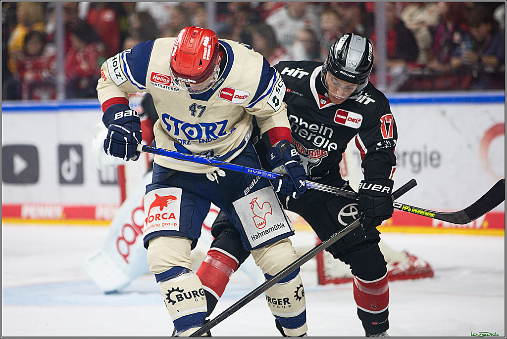 PENNY DEL; Koelner Haie- Schwenninger Wild Wings; Koeln, 11.10.2024