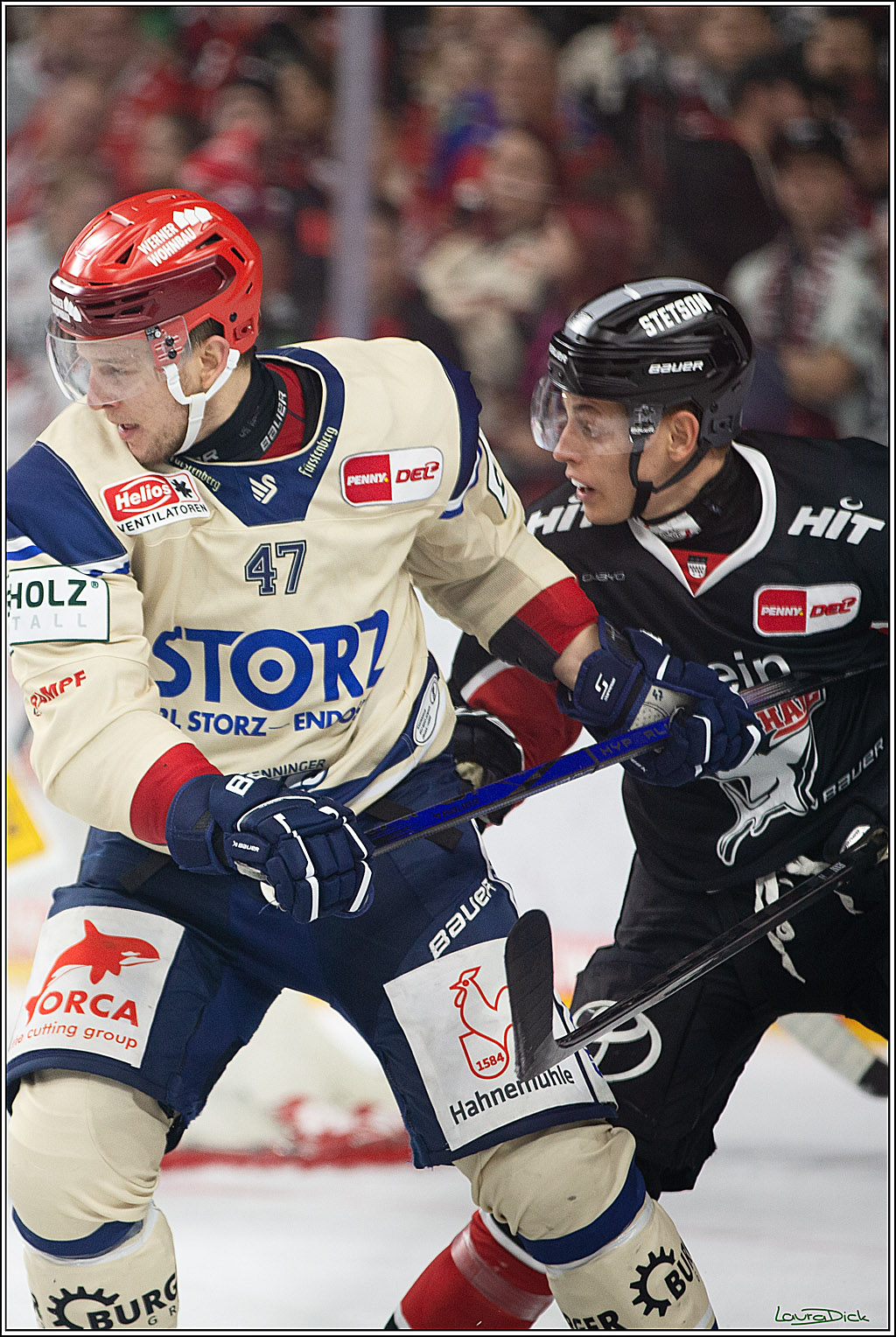 PENNY DEL; Koelner Haie- Schwenninger Wild Wings; Koeln, 11.10.2024