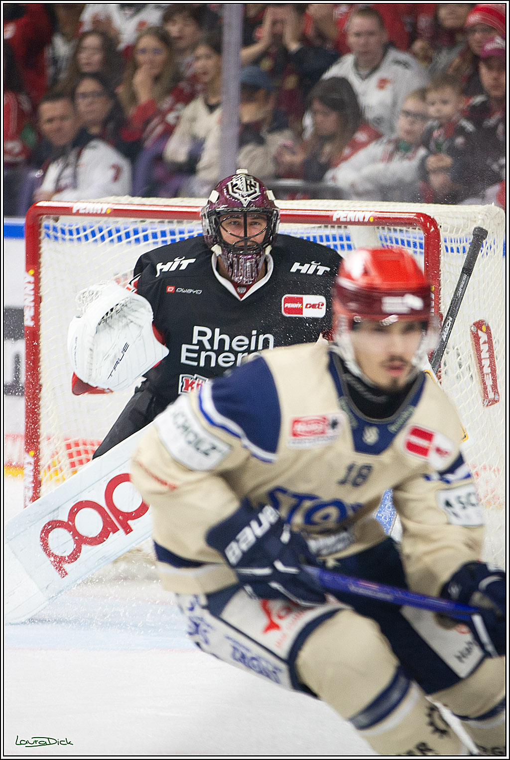 PENNY DEL; Koelner Haie- Schwenninger Wild Wings; Koeln, 11.10.2024