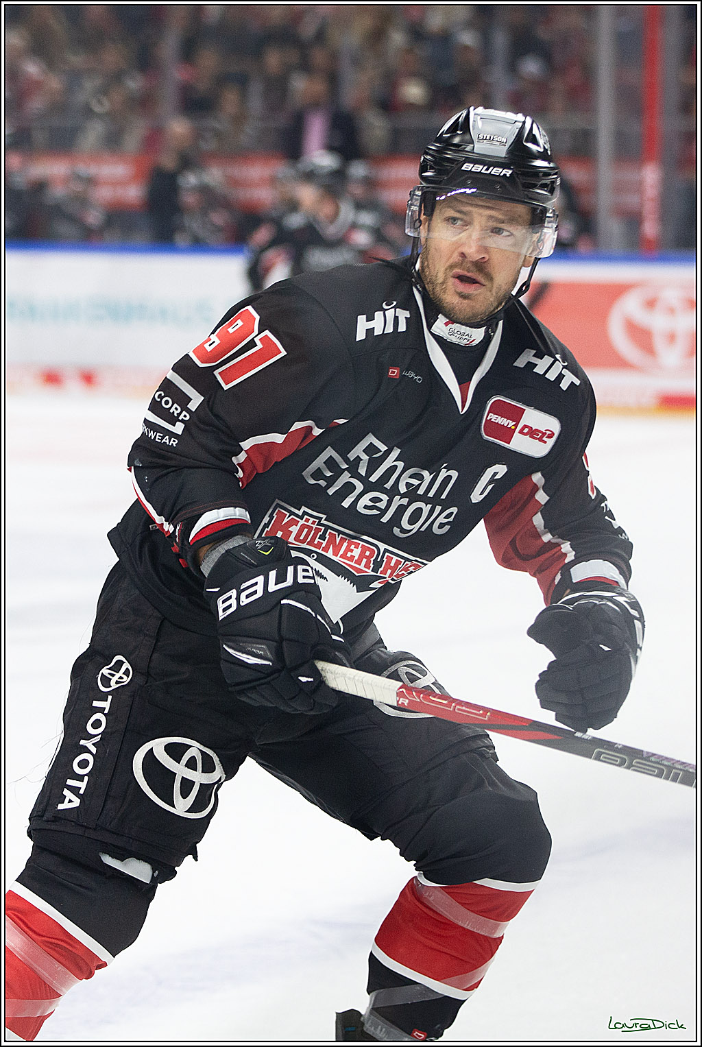 PENNY DEL; Koelner Haie- Schwenninger Wild Wings; Koeln, 11.10.2024