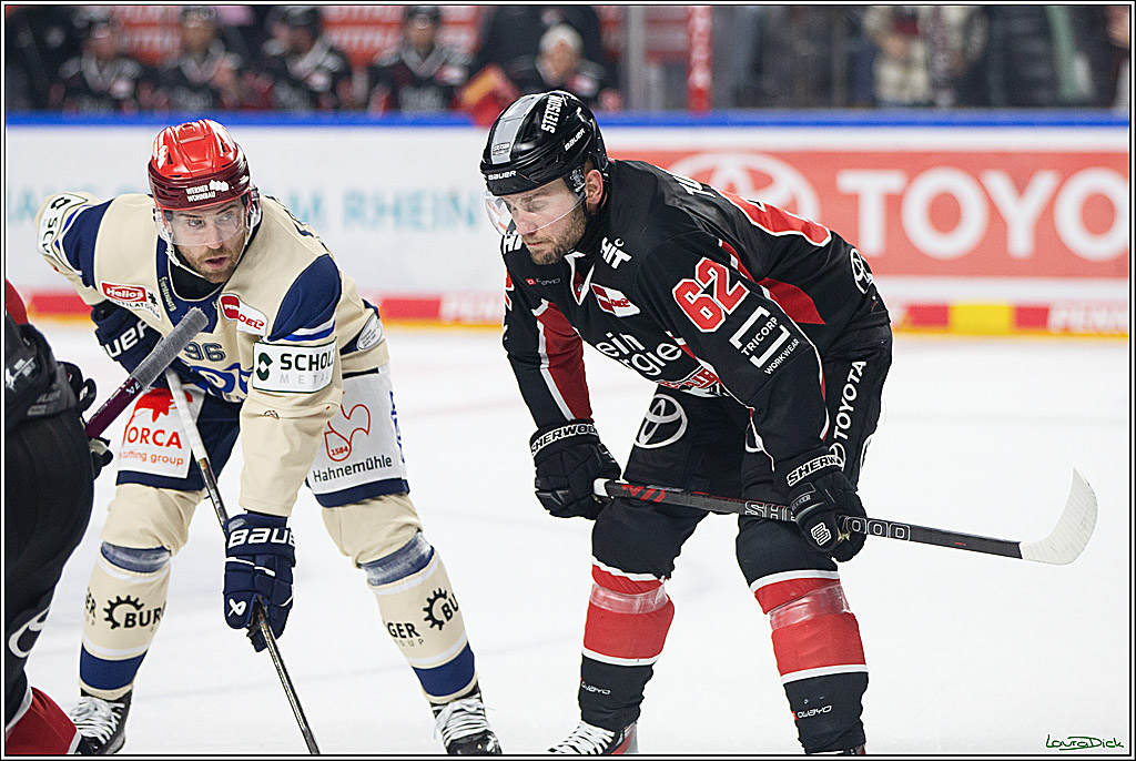 PENNY DEL; Koelner Haie- Schwenninger Wild Wings; Koeln, 11.10.2024