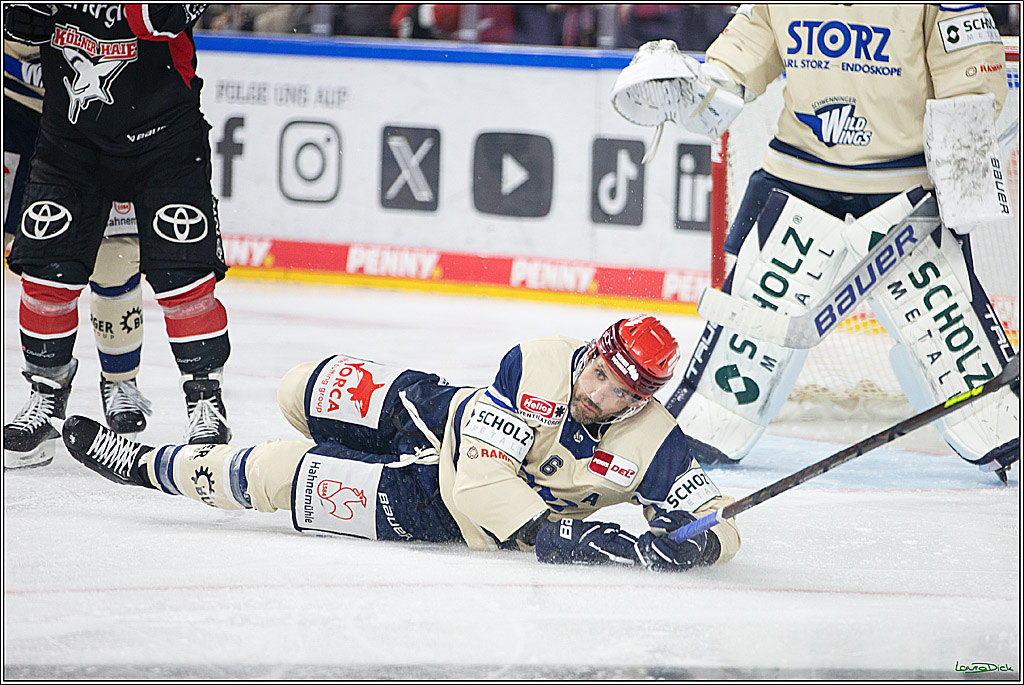 PENNY DEL; Koelner Haie- Schwenninger Wild Wings; Koeln, 11.10.2024