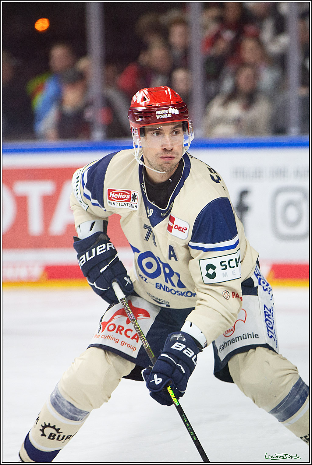 PENNY DEL; Koelner Haie- Schwenninger Wild Wings; Koeln, 11.10.2024