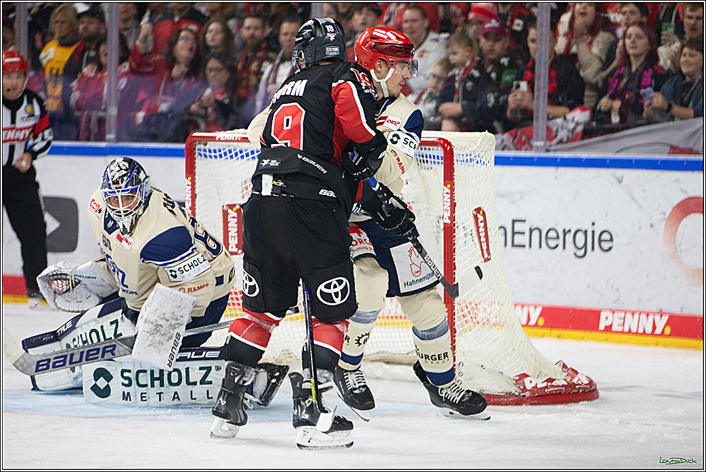 PENNY DEL; Koelner Haie- Schwenninger Wild Wings; Koeln, 11.10.2024
