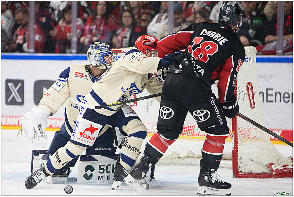 PENNY DEL; Koelner Haie- Schwenninger Wild Wings; Koeln, 11.10.2024