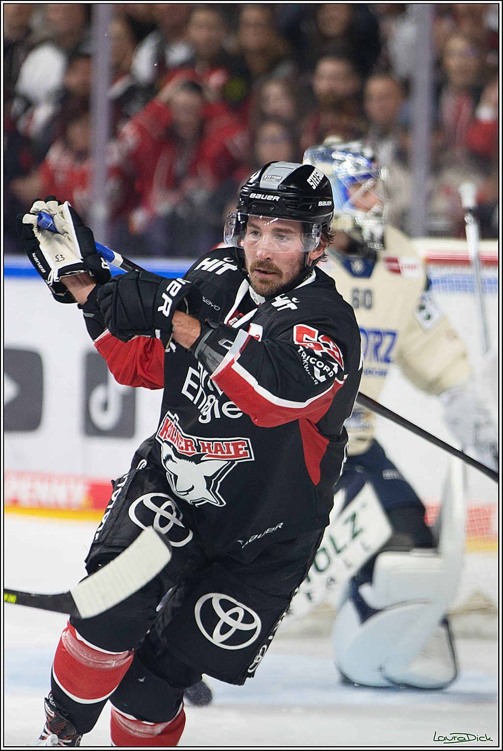 PENNY DEL; Koelner Haie- Schwenninger Wild Wings; Koeln, 11.10.2024