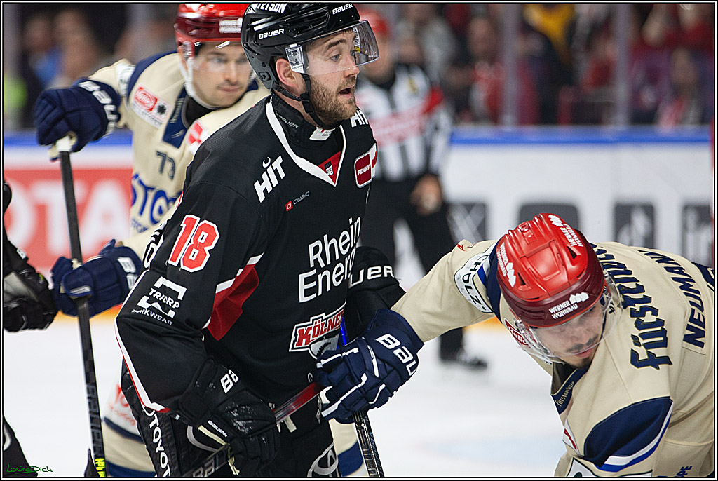 PENNY DEL; Koelner Haie- Schwenninger Wild Wings; Koeln, 11.10.2024