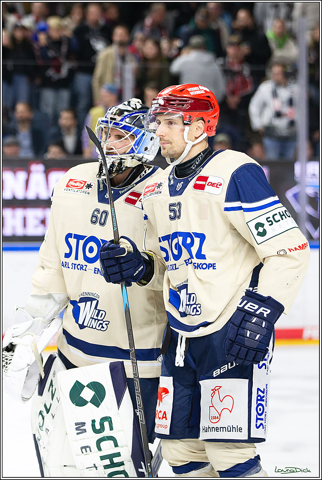 PENNY DEL; Koelner Haie- Schwenninger Wild Wings; Koeln, 11.10.2024