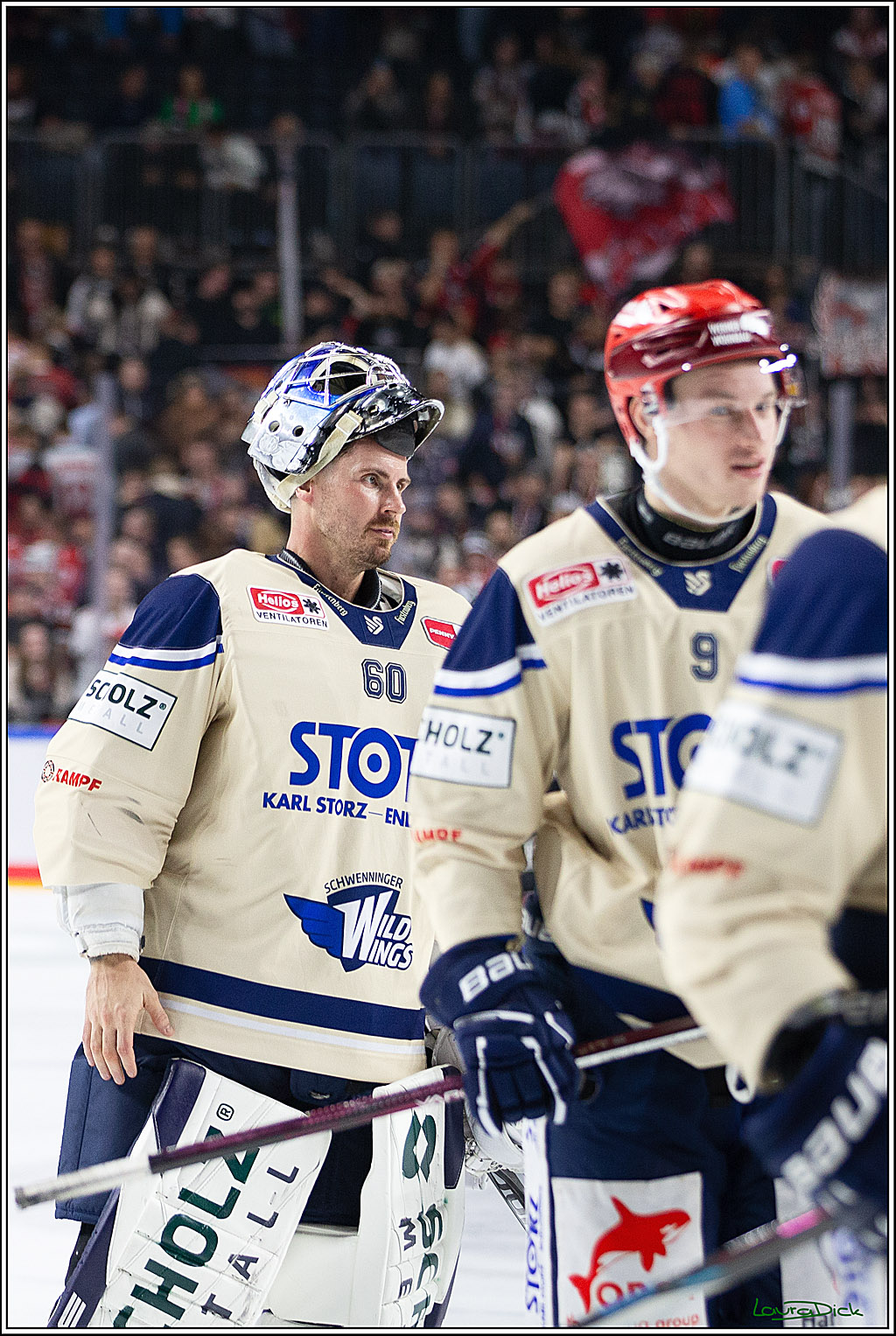 PENNY DEL; Koelner Haie- Schwenninger Wild Wings; Koeln, 11.10.2024