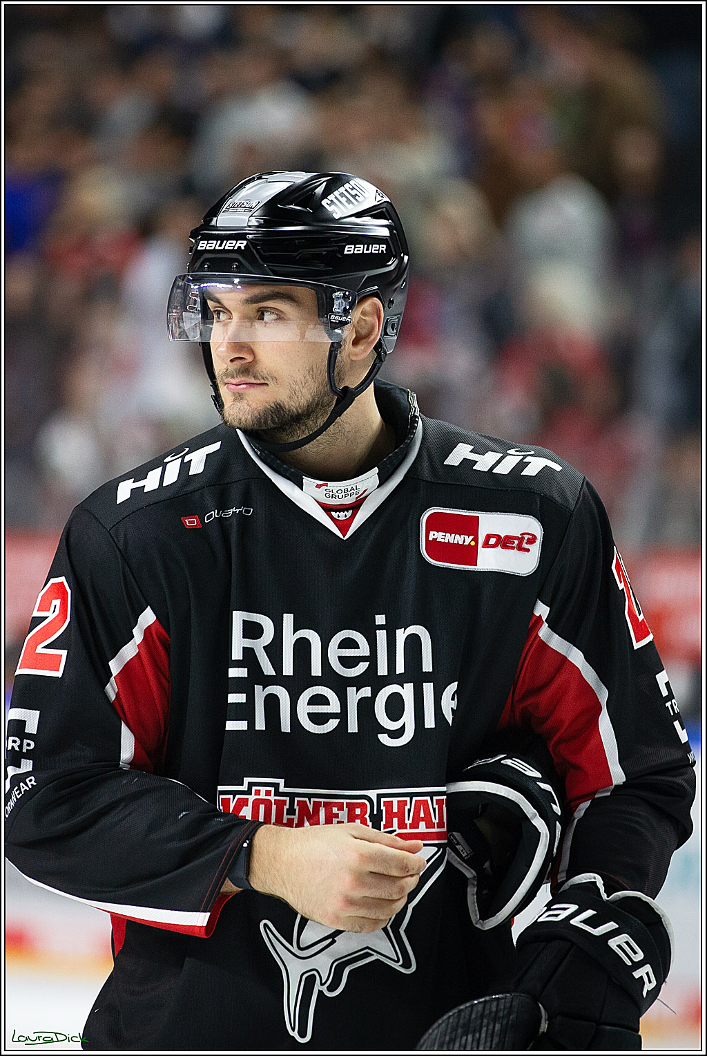 PENNY DEL; Koelner Haie- Schwenninger Wild Wings; Koeln, 11.10.2024