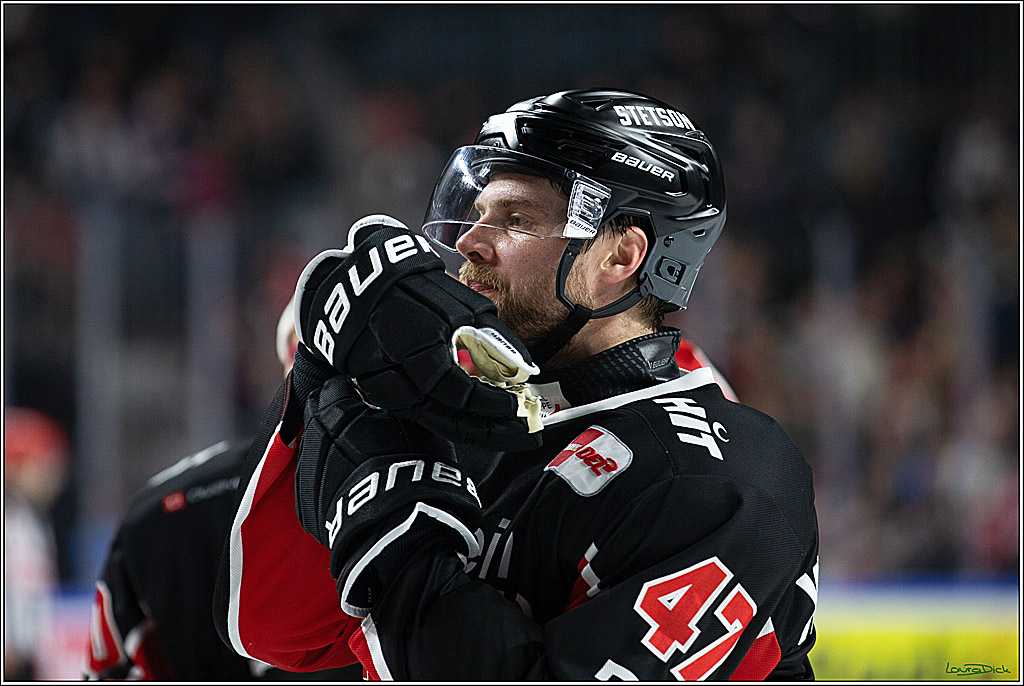 PENNY DEL; Koelner Haie- Schwenninger Wild Wings; Koeln, 11.10.2024
