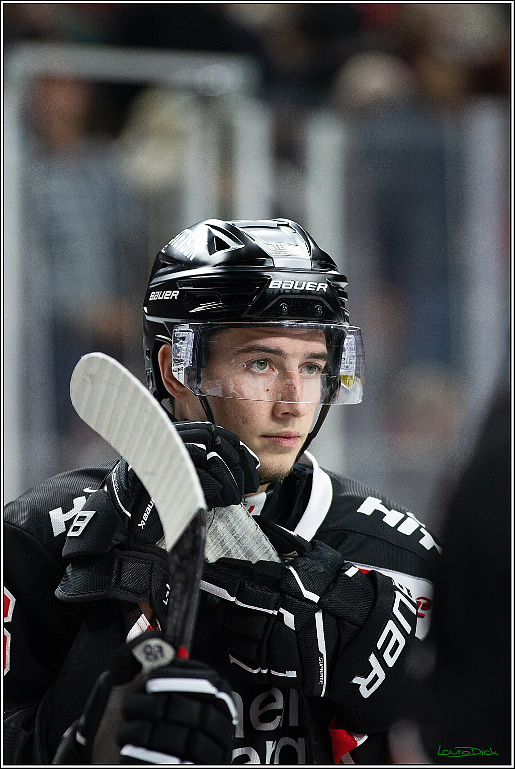 PENNY DEL; Koelner Haie- Schwenninger Wild Wings; Koeln, 11.10.2024