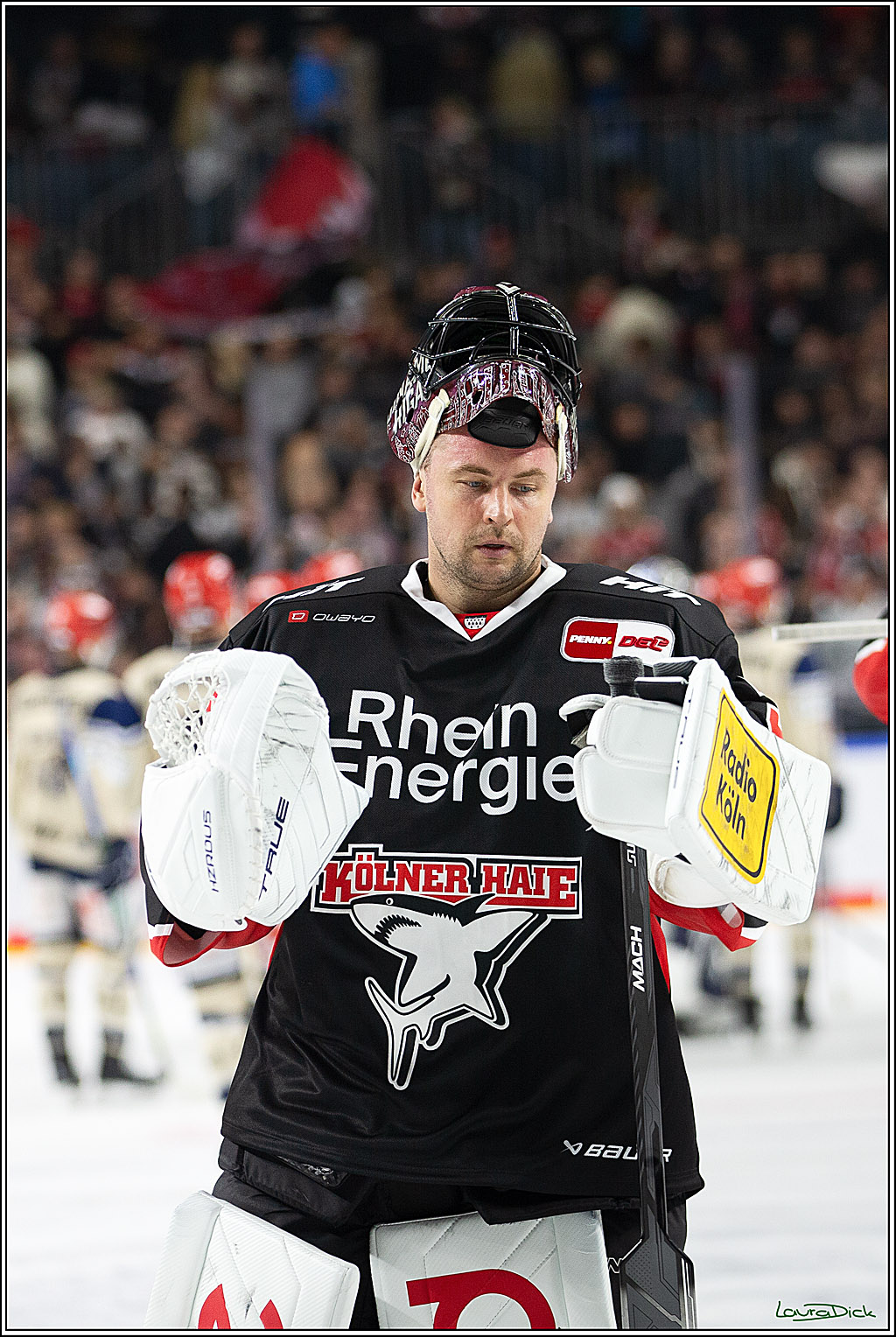 PENNY DEL; Koelner Haie- Schwenninger Wild Wings; Koeln, 11.10.2024