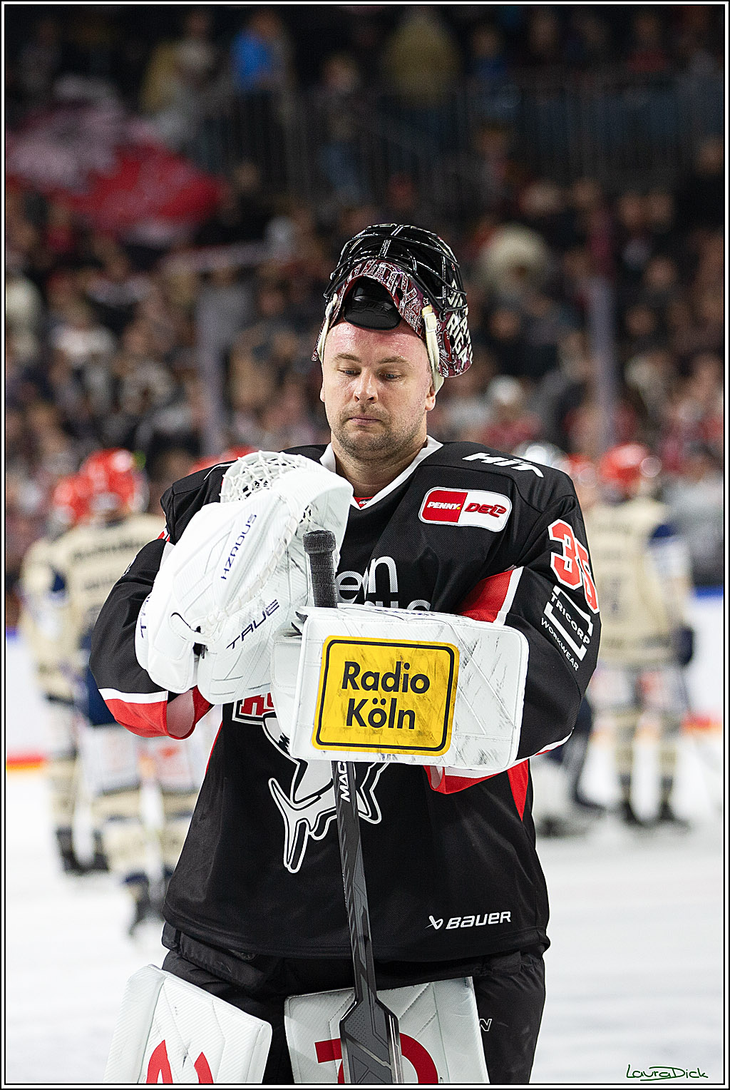 PENNY DEL; Koelner Haie- Schwenninger Wild Wings; Koeln, 11.10.2024
