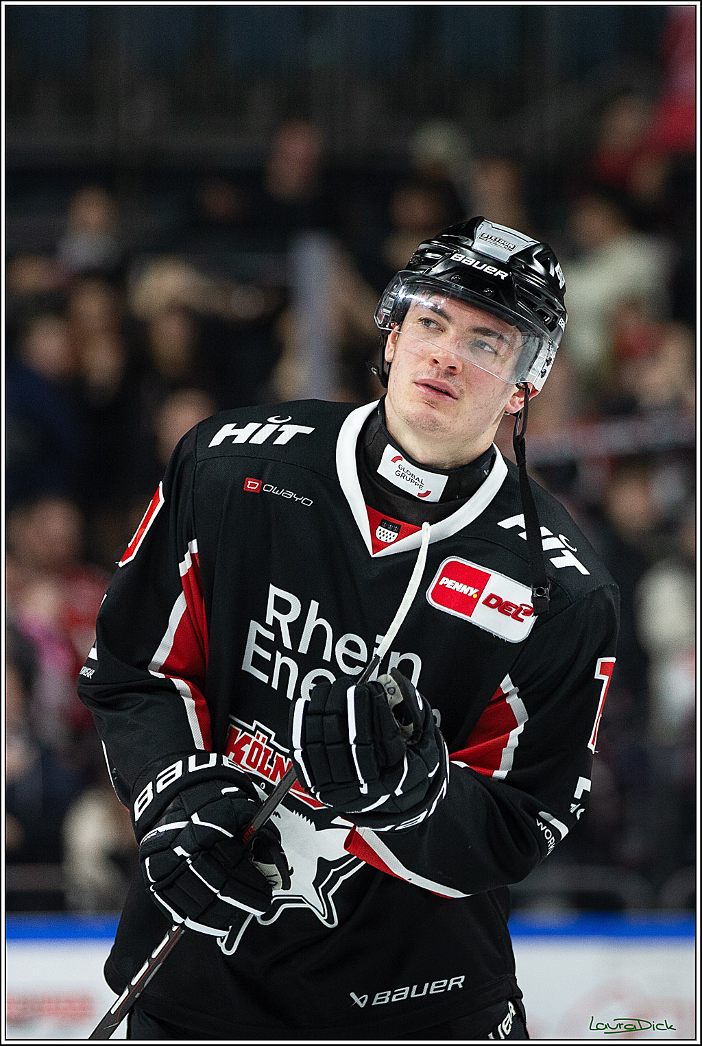 PENNY DEL; Koelner Haie- Schwenninger Wild Wings; Koeln, 11.10.2024