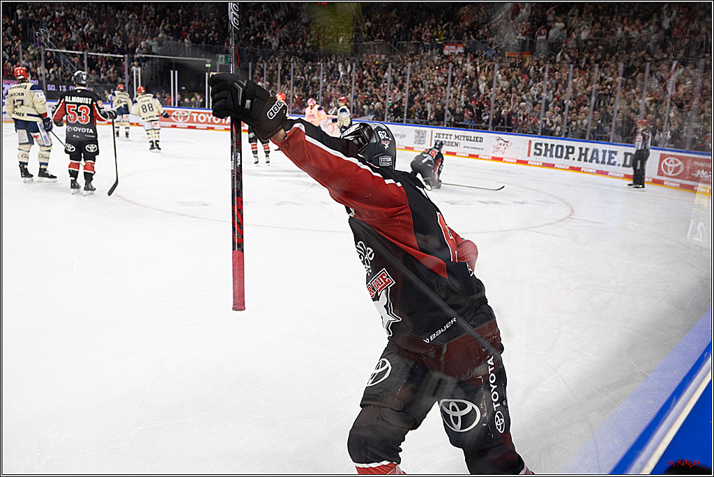 PENNY DEL 1; Kölner Haie - Schwenninger Wild Wings; Köln, 11.10.2024