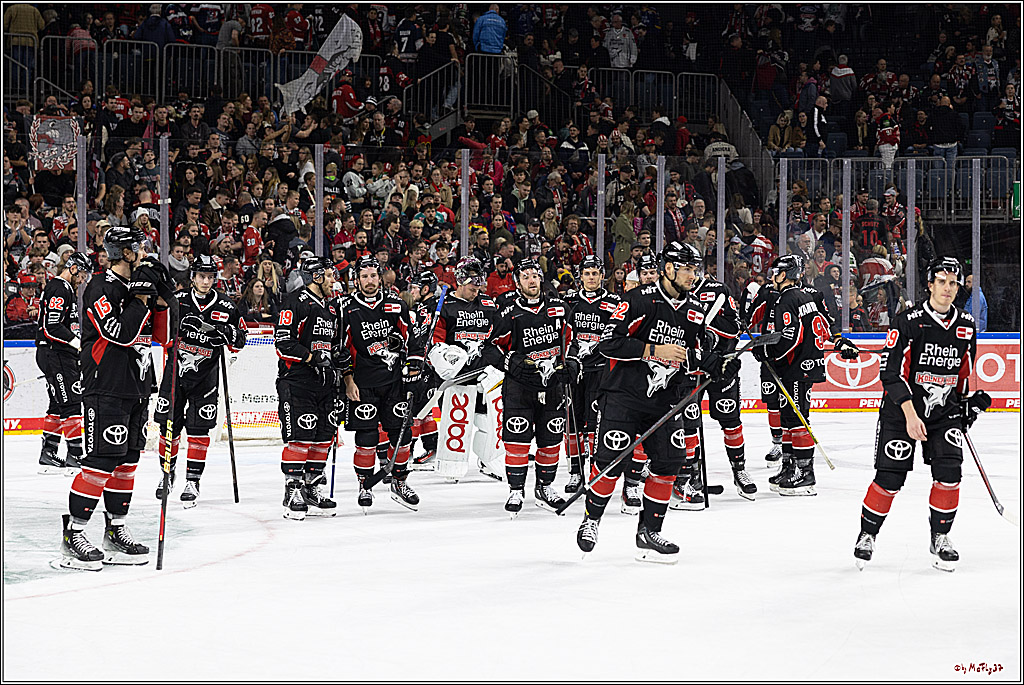 PENNY DEL 1; Kölner Haie - Schwenninger Wild Wings; Köln, 11.10.2024