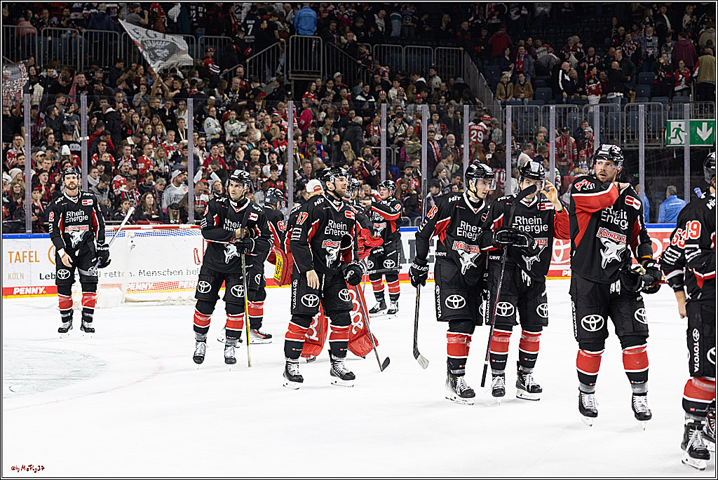 PENNY DEL 1; Kölner Haie - Schwenninger Wild Wings; Köln, 11.10.2024