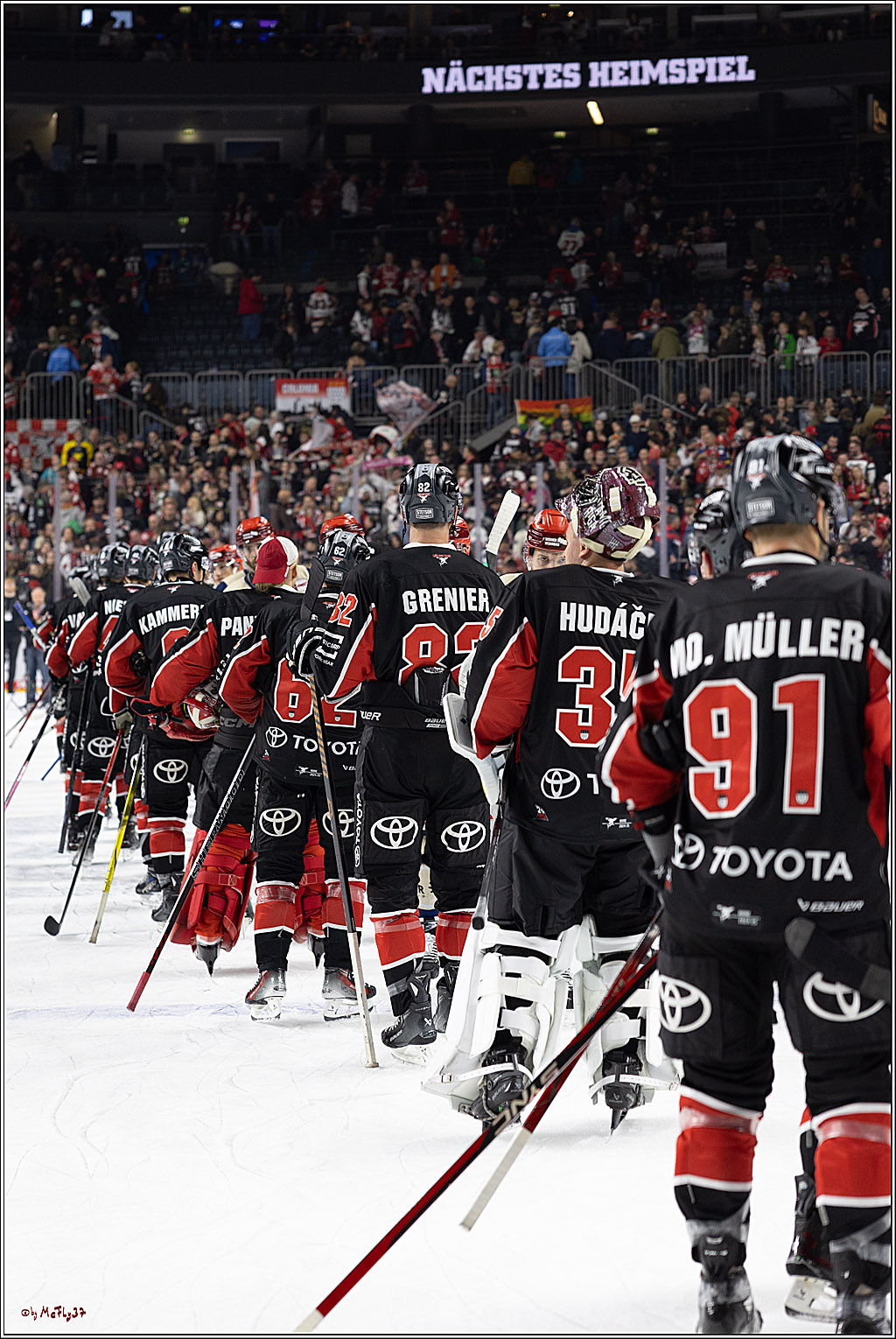 PENNY DEL 1; Kölner Haie - Schwenninger Wild Wings; Köln, 11.10.2024