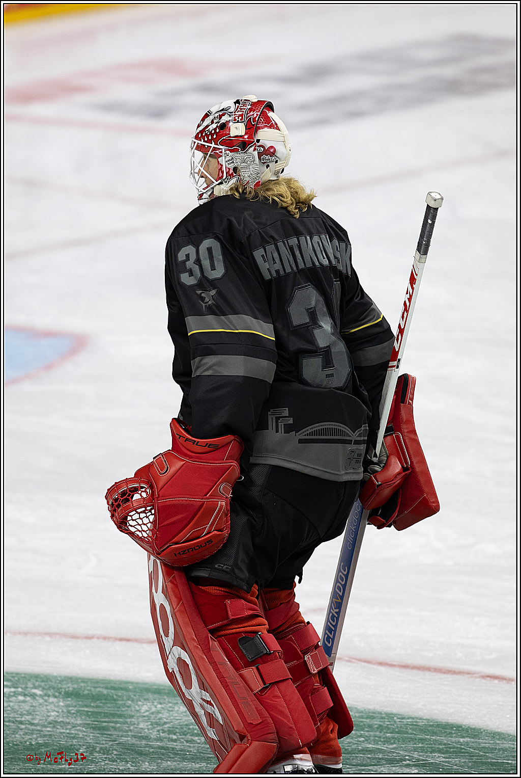PENNY DEL 1; Kölner Haie - Schwenninger Wild Wings; Köln, 11.10.2024