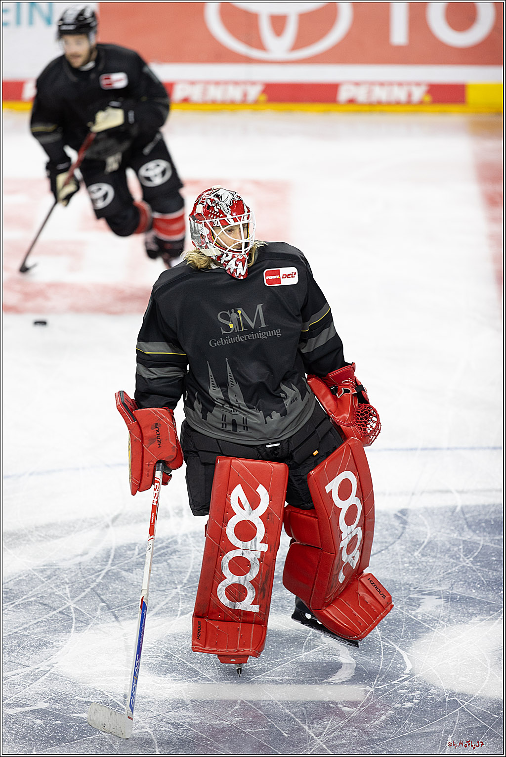PENNY DEL 1; Kölner Haie - Schwenninger Wild Wings; Köln, 11.10.2024
