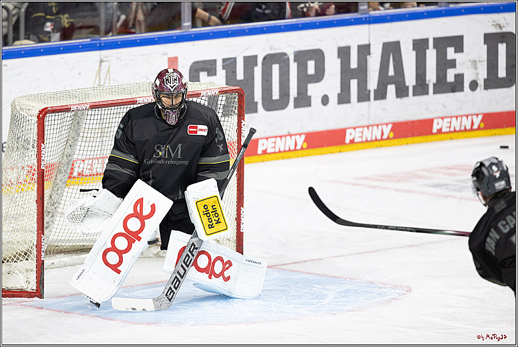 PENNY DEL 1; Kölner Haie - Schwenninger Wild Wings; Köln, 11.10.2024
