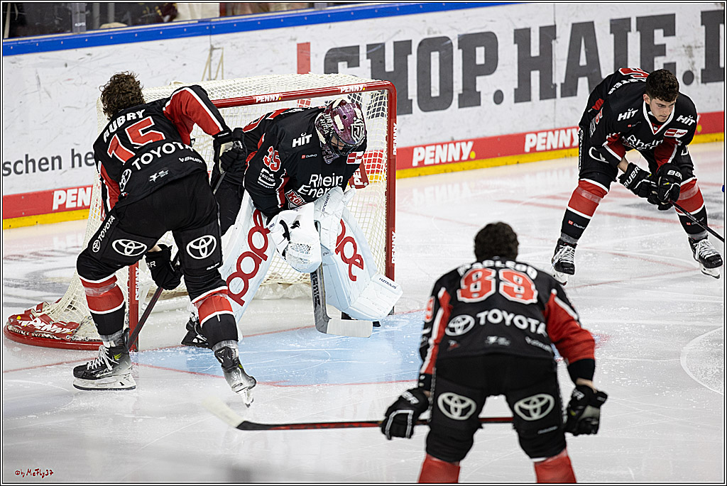 PENNY DEL 1; Kölner Haie - Schwenninger Wild Wings; Köln, 11.10.2024