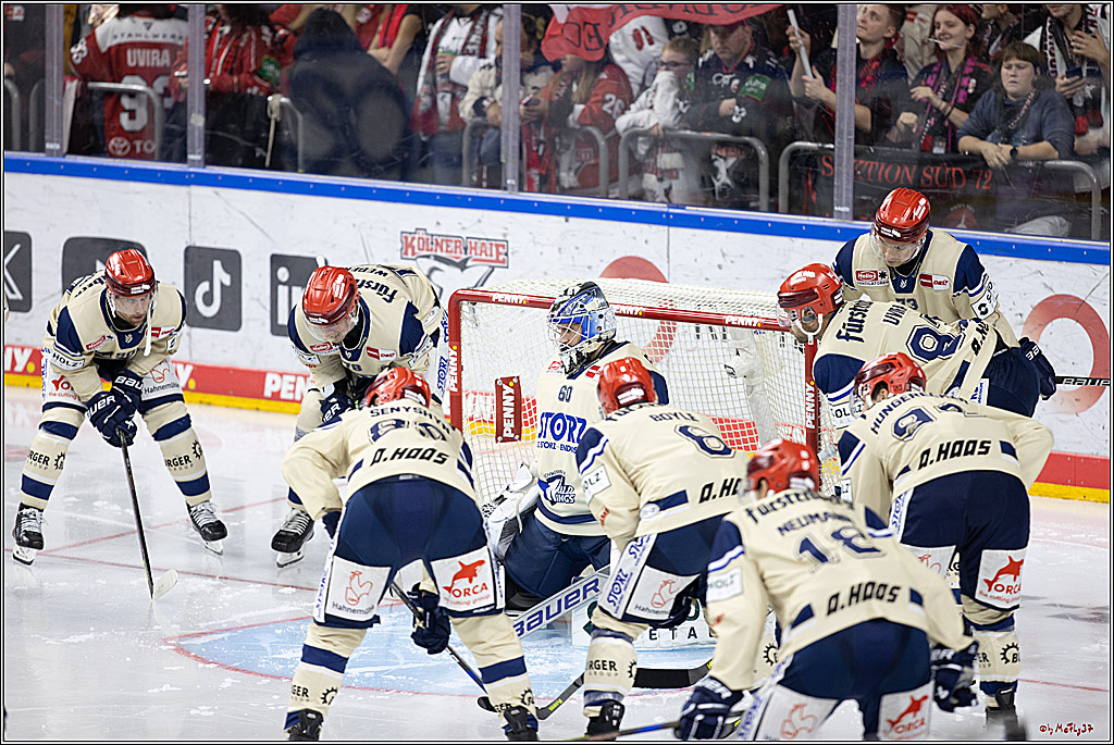 PENNY DEL 1; Kölner Haie - Schwenninger Wild Wings; Köln, 11.10.2024