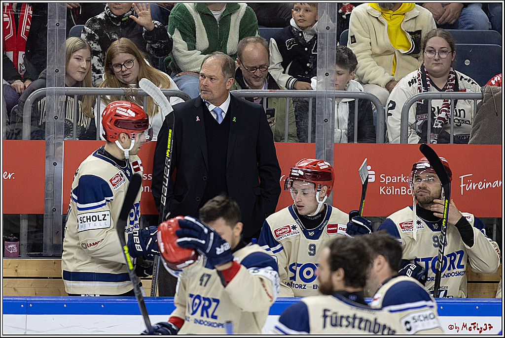 PENNY DEL 1; Kölner Haie - Schwenninger Wild Wings; Köln, 11.10.2024