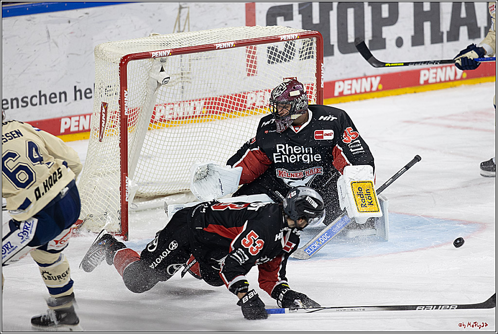 PENNY DEL 1; Kölner Haie - Schwenninger Wild Wings; Köln, 11.10.2024