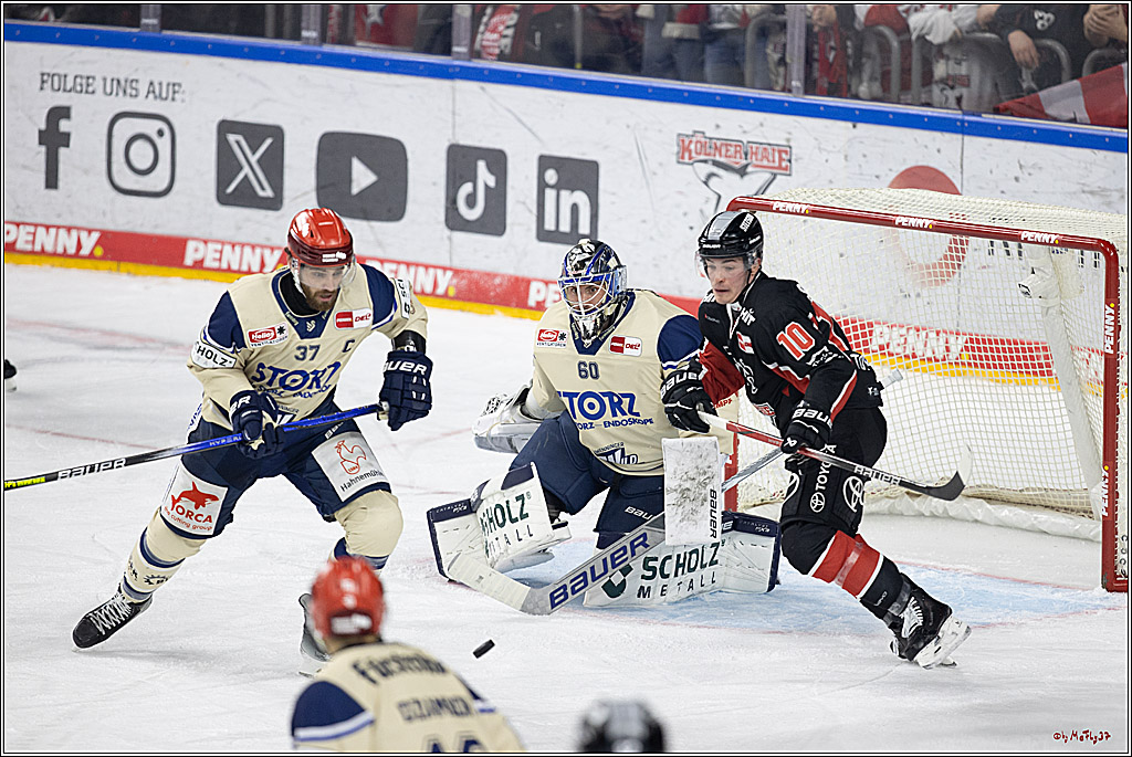 PENNY DEL 1; Kölner Haie - Schwenninger Wild Wings; Köln, 11.10.2024