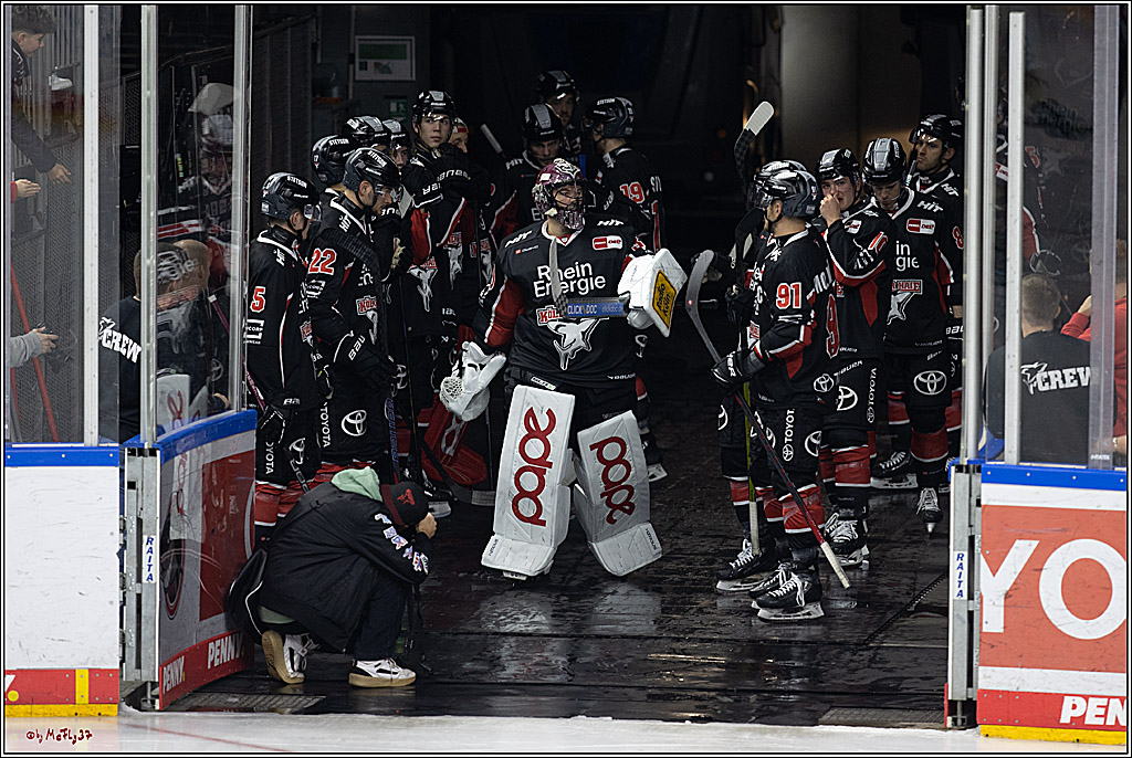 PENNY DEL 1; Kölner Haie - Schwenninger Wild Wings; Köln, 11.10.2024