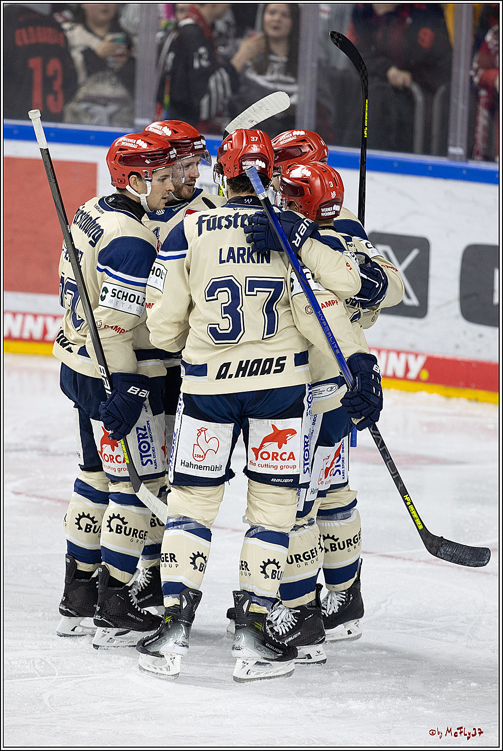 PENNY DEL 1; Kölner Haie - Schwenninger Wild Wings; Köln, 11.10.2024