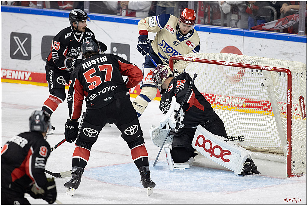 PENNY DEL 1; Kölner Haie - Schwenninger Wild Wings; Köln, 11.10.2024