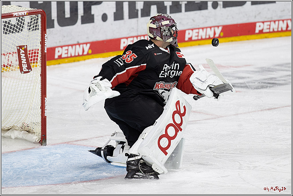 PENNY DEL 1; Kölner Haie - Schwenninger Wild Wings; Köln, 11.10.2024