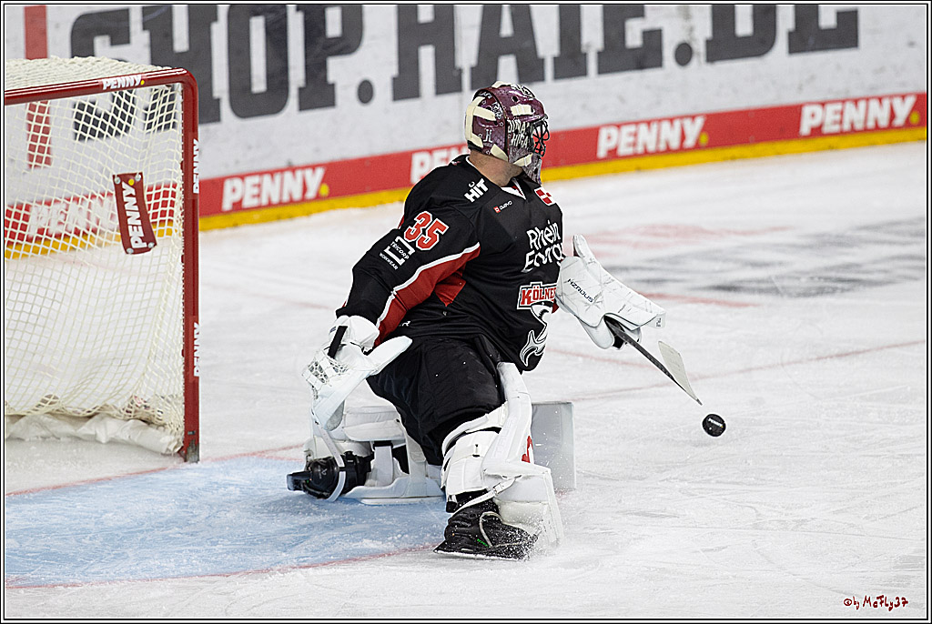 PENNY DEL 1; Kölner Haie - Schwenninger Wild Wings; Köln, 11.10.2024