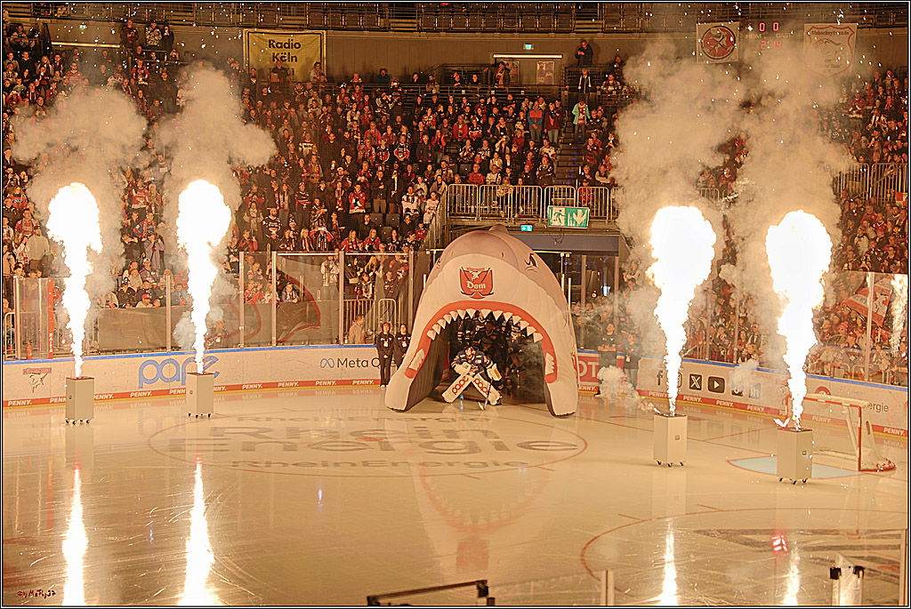 PENNY DEL 1; Kölner Haie - ERC Ingolstadt; Köln, 13.10.2024