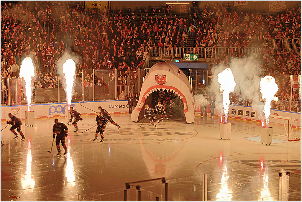 PENNY DEL 1; Kölner Haie - ERC Ingolstadt; Köln, 13.10.2024