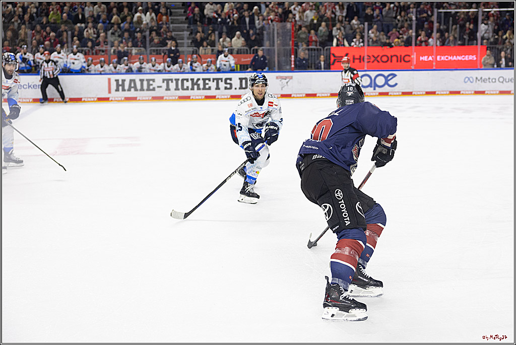 PENNY DEL 1; Kölner Haie - ERC Ingolstadt; Köln, 13.10.2024