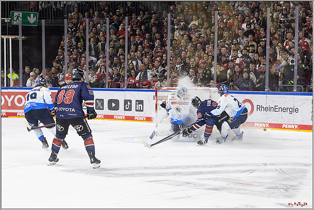 PENNY DEL 1; Kölner Haie - ERC Ingolstadt; Köln, 13.10.2024