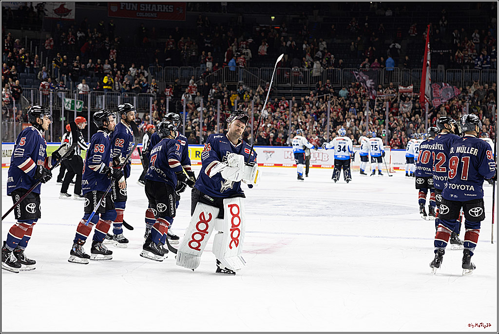 PENNY DEL 1; Kölner Haie - ERC Ingolstadt; Köln, 13.10.2024